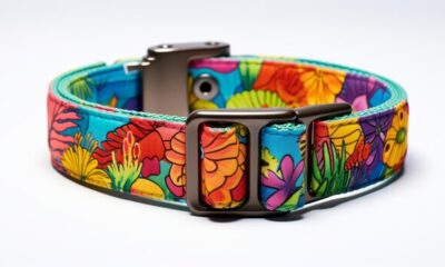 Floral Dog Collar