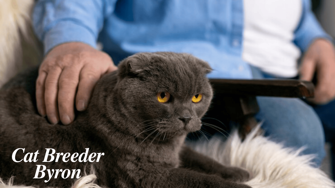 The Inspiring Story of Cat Breeder Byron